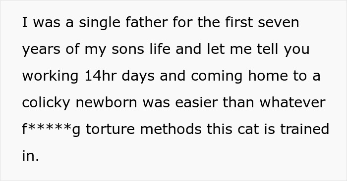 Man Loses Patience Over Wife’s “Frustratingly Annoying” Cat, Gives Her An Ultimatum Man Loses Patience Over Wife’s “Frustratingly Annoying” Cat, Gives Her An Ultimatum