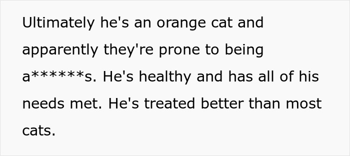 Man Loses Patience Over Wife’s “Frustratingly Annoying” Cat, Gives Her An Ultimatum Man Loses Patience Over Wife’s “Frustratingly Annoying” Cat, Gives Her An Ultimatum