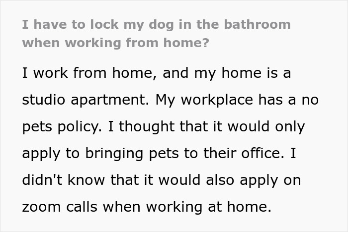 “My Dog Was Simply Sitting”: Worker Maliciously Complies With No-Dogs Home Office Policy “My Dog Was Simply Sitting”: Worker Maliciously Complies With No-Dogs Home Office Policy