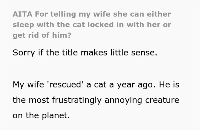 Man Loses Patience Over Wife’s “Frustratingly Annoying” Cat, Gives Her An Ultimatum Man Loses Patience Over Wife’s “Frustratingly Annoying” Cat, Gives Her An Ultimatum
