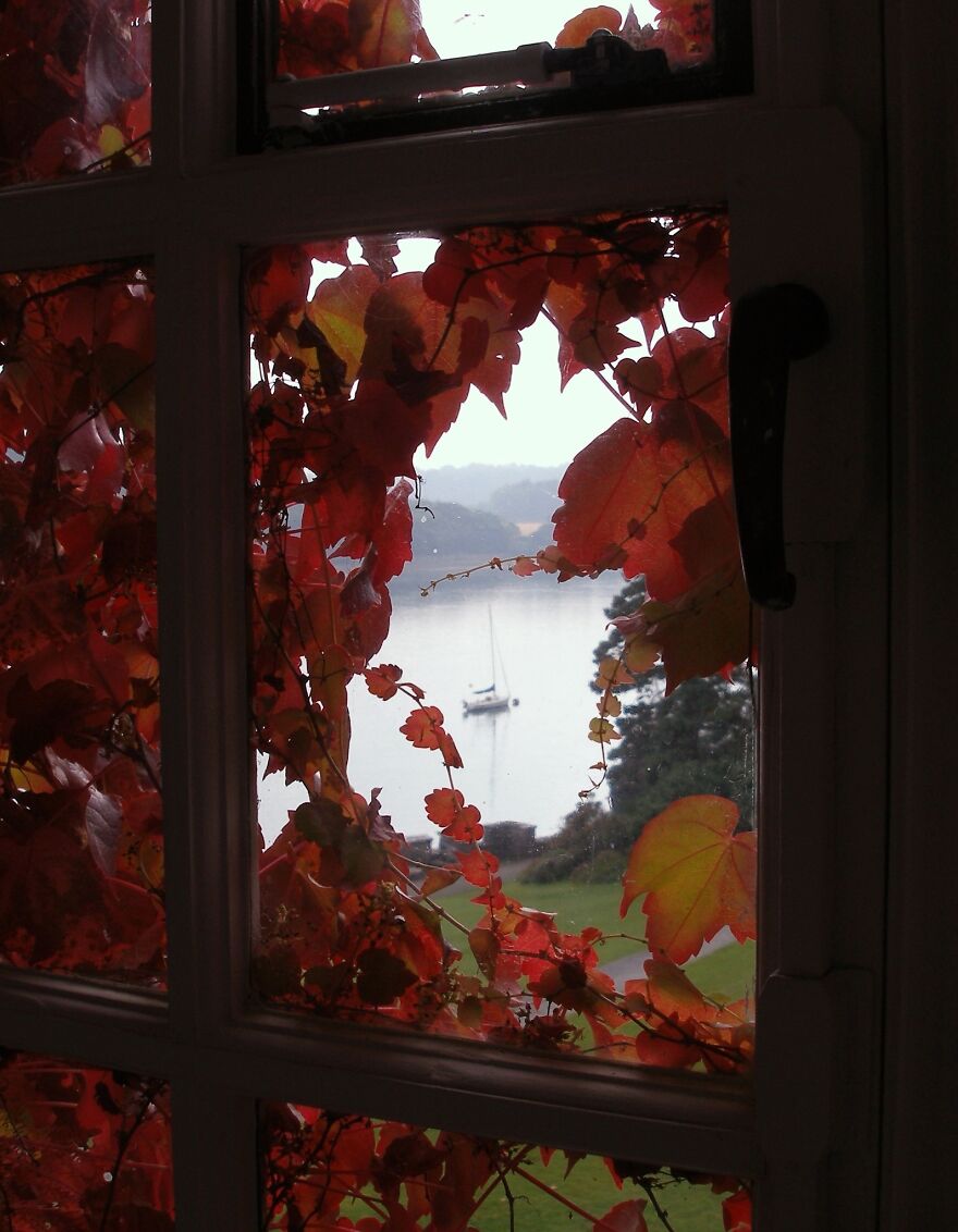 “View From My Window”: 30 Mesmerizing Scenes People Snapped Right From ...