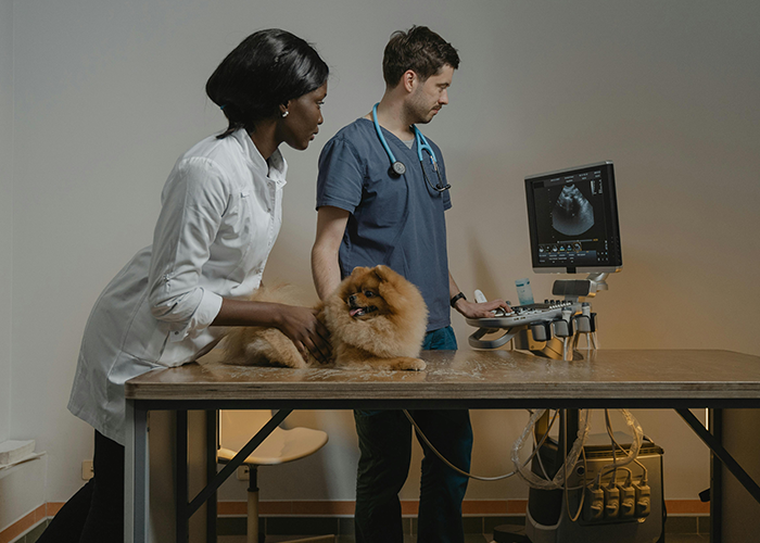 Vets Tell Pet Owner There Is No Gay Test, He Loses It And Throws A Tantrum Vets Tell Pet Owner There Is No Gay Test, He Loses It And Throws A Tantrum