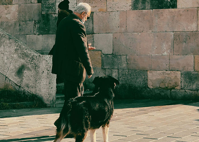 Vets Tell Pet Owner There Is No Gay Test, He Loses It And Throws A Tantrum Vets Tell Pet Owner There Is No Gay Test, He Loses It And Throws A Tantrum