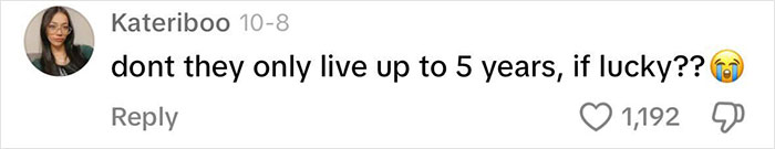 Mom Slammed For Spending $10k On Controversial Dog Breed, Vets Explain How Problematic It Is Mom Slammed For Spending $10k On Controversial Dog Breed, Vets Explain How Problematic It Is