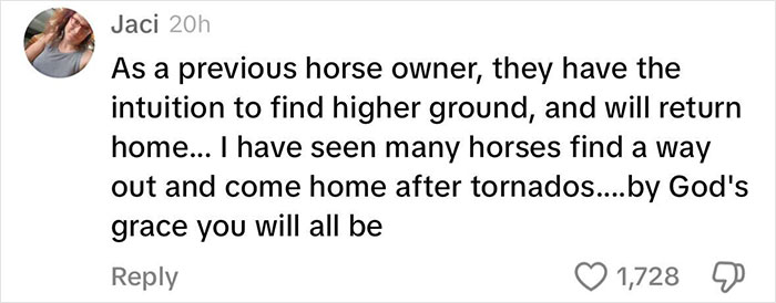 Viral Couple Who Didn’t Evacuate Amid Hurricane Milton Brings Donkey Into Their Home Viral Couple Who Didn’t Evacuate Amid Hurricane Milton Brings Donkey Into Their Home