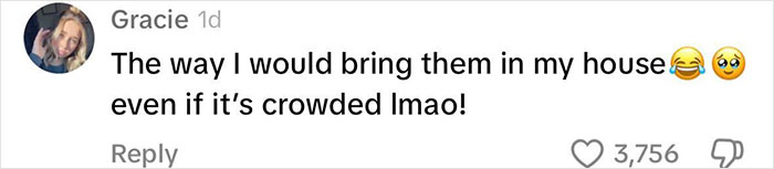 Viral Couple Who Didn’t Evacuate Amid Hurricane Milton Brings Donkey Into Their Home Viral Couple Who Didn’t Evacuate Amid Hurricane Milton Brings Donkey Into Their Home