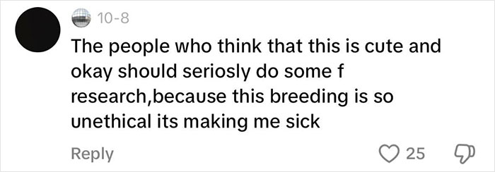 Mom Slammed For Spending $10k On Controversial Dog Breed, Vets Explain How Problematic It Is Mom Slammed For Spending $10k On Controversial Dog Breed, Vets Explain How Problematic It Is