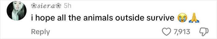 Viral Couple Who Didn’t Evacuate Amid Hurricane Milton Brings Donkey Into Their Home Viral Couple Who Didn’t Evacuate Amid Hurricane Milton Brings Donkey Into Their Home