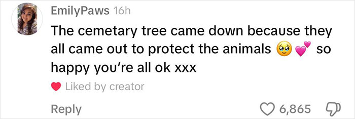 Viral Couple Who Stayed To Care For Animals Reveal Farm’s Destruction After Hurricane Milton Viral Couple Who Stayed To Care For Animals Reveal Farm’s Destruction After Hurricane Milton