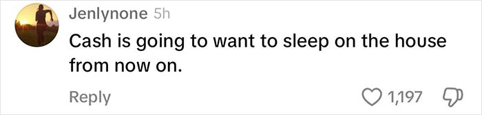 Viral Couple Who Didn’t Evacuate Amid Hurricane Milton Brings Donkey Into Their Home Viral Couple Who Didn’t Evacuate Amid Hurricane Milton Brings Donkey Into Their Home