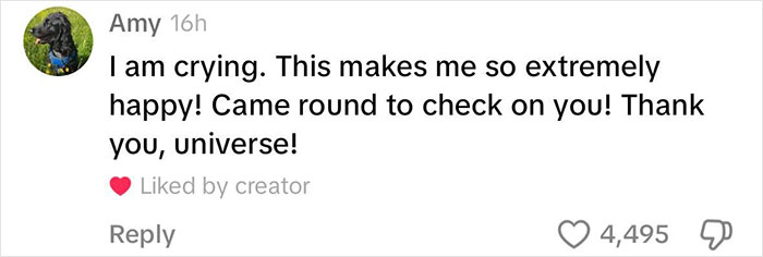 Viral Couple Who Stayed To Care For Animals Reveal Farm’s Destruction After Hurricane Milton Viral Couple Who Stayed To Care For Animals Reveal Farm’s Destruction After Hurricane Milton