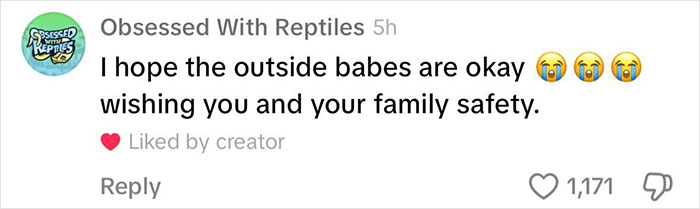 Viral Couple Who Didn’t Evacuate Amid Hurricane Milton Brings Donkey Into Their Home Viral Couple Who Didn’t Evacuate Amid Hurricane Milton Brings Donkey Into Their Home