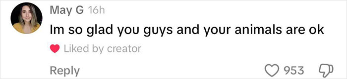 Viral Couple Who Stayed To Care For Animals Reveal Farm’s Destruction After Hurricane Milton Viral Couple Who Stayed To Care For Animals Reveal Farm’s Destruction After Hurricane Milton