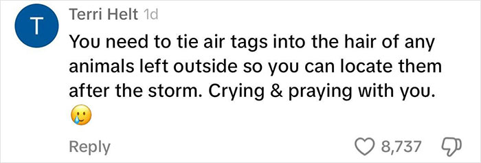 Viral Couple Who Didn’t Evacuate Amid Hurricane Milton Brings Donkey Into Their Home Viral Couple Who Didn’t Evacuate Amid Hurricane Milton Brings Donkey Into Their Home