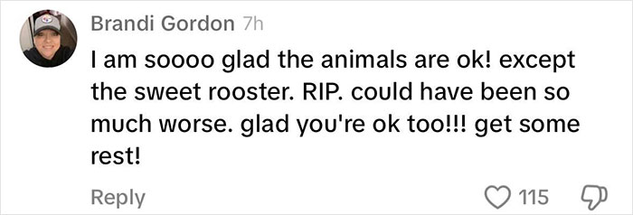 Viral Couple Who Stayed To Care For Animals Reveal Farm’s Destruction After Hurricane Milton Viral Couple Who Stayed To Care For Animals Reveal Farm’s Destruction After Hurricane Milton