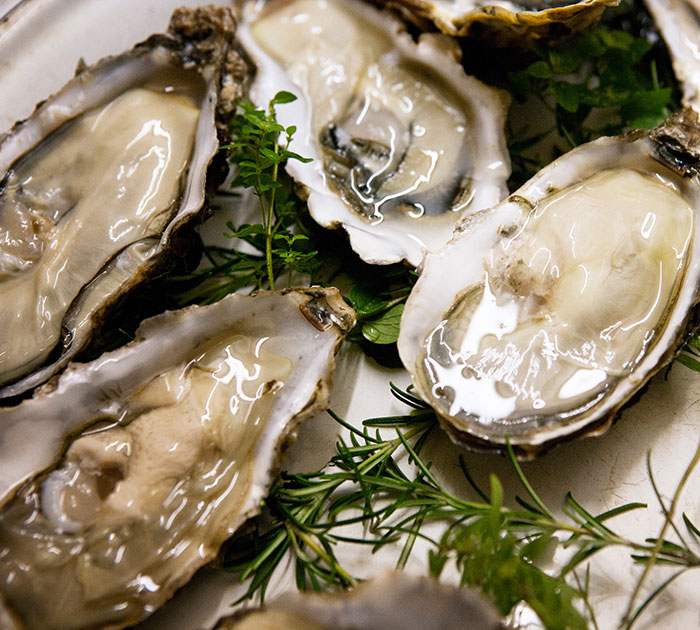 After Waking Up From Coma, Dad Fulfills Late Girlfriend’s Wishes Following Fatal Food Poisoning After Waking Up From Coma, Dad Fulfills Late Girlfriend’s Wishes Following Fatal Food Poisoning