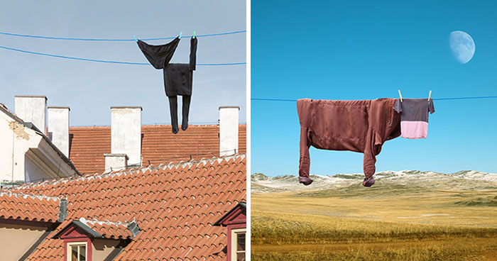This Artist Created 21 Playful Animals From Laundry And Captured Them In Picturesque Landscapes