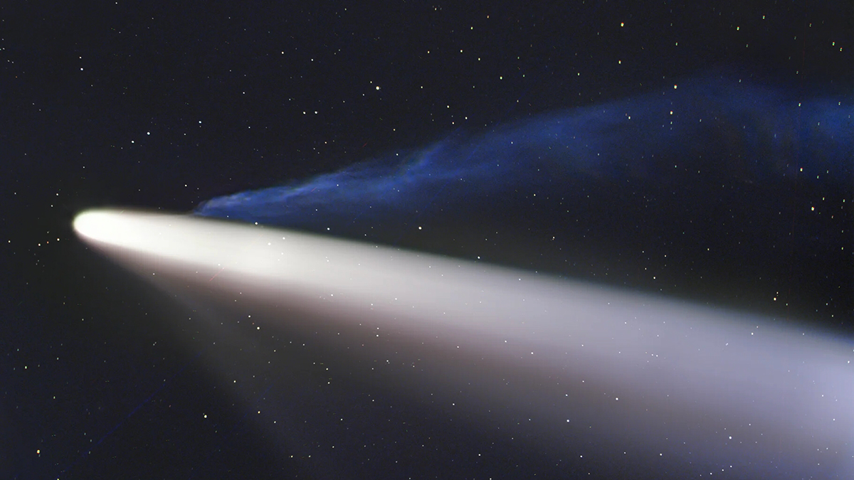 Stargazers Will Have The Chance To Spot Probably The Most Impressive Comet Of The Year