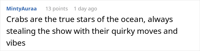 People Online Are Very Amused By This Crab Who Stole A Camera And Went On Filming His Adventures People Online Are Very Amused By This Crab Who Stole A Camera And Went On Filming His Adventures
