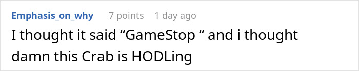 People Online Are Very Amused By This Crab Who Stole A Camera And Went On Filming His Adventures People Online Are Very Amused By This Crab Who Stole A Camera And Went On Filming His Adventures