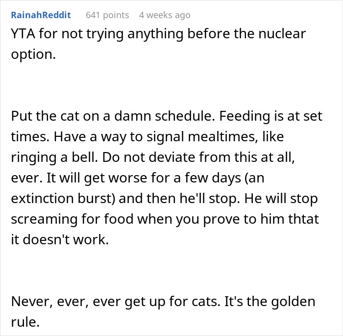 Man Loses Patience Over Wife’s “Frustratingly Annoying” Cat, Gives Her An Ultimatum Man Loses Patience Over Wife’s “Frustratingly Annoying” Cat, Gives Her An Ultimatum