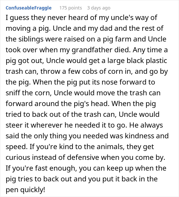 Pig Who Was Left Tied To Petrol Station Before Hurricane Gets Rescued, And People Online Love It Pig Who Was Left Tied To Petrol Station Before Hurricane Gets Rescued, And People Online Love It