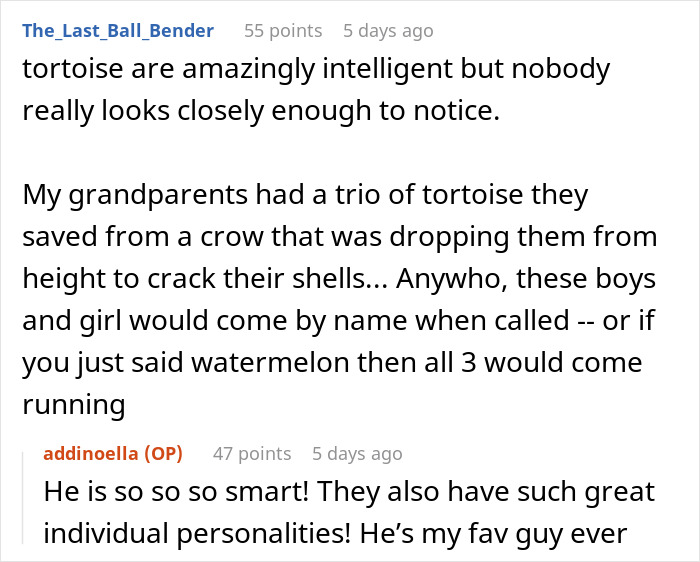 People Online Are Obsessed With This Cute Tortoise And His Owner, Who Got A Matching Manicure People Online Are Obsessed With This Cute Tortoise And His Owner, Who Got A Matching Manicure