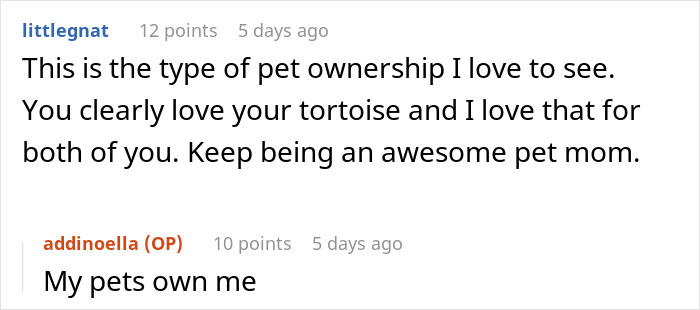People Online Are Obsessed With This Cute Tortoise And His Owner, Who Got A Matching Manicure People Online Are Obsessed With This Cute Tortoise And His Owner, Who Got A Matching Manicure