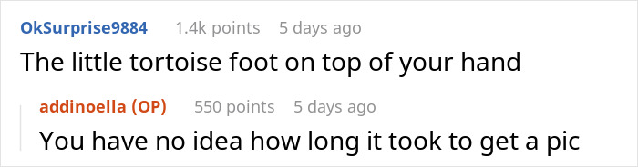 People Online Are Obsessed With This Cute Tortoise And His Owner, Who Got A Matching Manicure People Online Are Obsessed With This Cute Tortoise And His Owner, Who Got A Matching Manicure