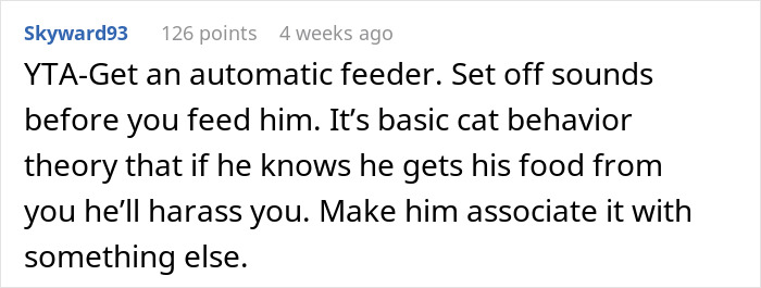 Man Loses Patience Over Wife’s “Frustratingly Annoying” Cat, Gives Her An Ultimatum Man Loses Patience Over Wife’s “Frustratingly Annoying” Cat, Gives Her An Ultimatum