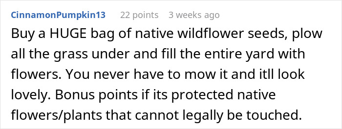 “Gave The City Official A Good Laugh”: Couple Finds Loophole In Rules To Get Back At Neighbors “Gave The City Official A Good Laugh”: Couple Finds Loophole In Rules To Get Back At Neighbors