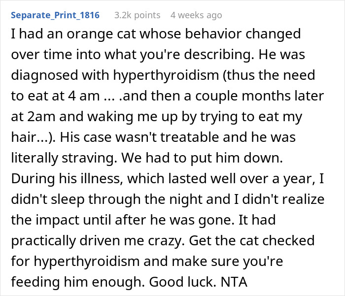 Man Loses Patience Over Wife’s “Frustratingly Annoying” Cat, Gives Her An Ultimatum Man Loses Patience Over Wife’s “Frustratingly Annoying” Cat, Gives Her An Ultimatum
