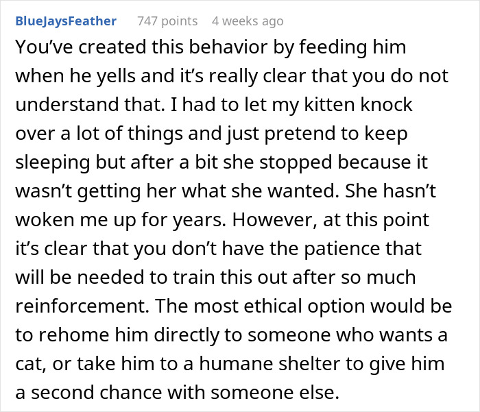 Man Loses Patience Over Wife’s “Frustratingly Annoying” Cat, Gives Her An Ultimatum Man Loses Patience Over Wife’s “Frustratingly Annoying” Cat, Gives Her An Ultimatum