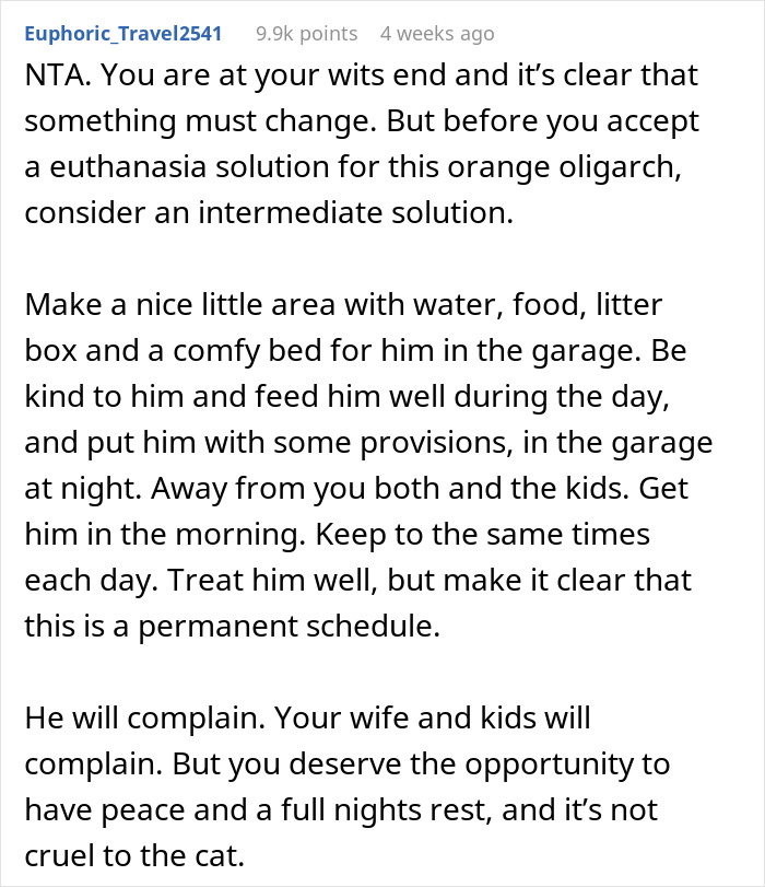 Man Loses Patience Over Wife’s “Frustratingly Annoying” Cat, Gives Her An Ultimatum Man Loses Patience Over Wife’s “Frustratingly Annoying” Cat, Gives Her An Ultimatum