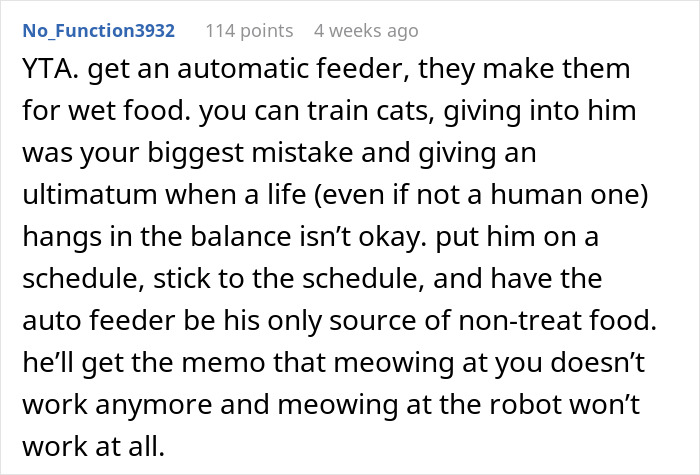 Man Loses Patience Over Wife’s “Frustratingly Annoying” Cat, Gives Her An Ultimatum Man Loses Patience Over Wife’s “Frustratingly Annoying” Cat, Gives Her An Ultimatum