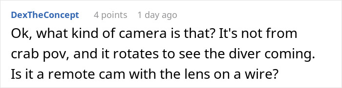 People Online Are Very Amused By This Crab Who Stole A Camera And Went On Filming His Adventures People Online Are Very Amused By This Crab Who Stole A Camera And Went On Filming His Adventures