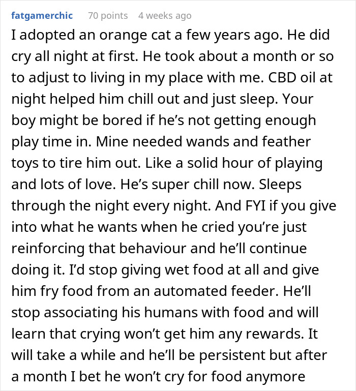Man Loses Patience Over Wife’s “Frustratingly Annoying” Cat, Gives Her An Ultimatum Man Loses Patience Over Wife’s “Frustratingly Annoying” Cat, Gives Her An Ultimatum
