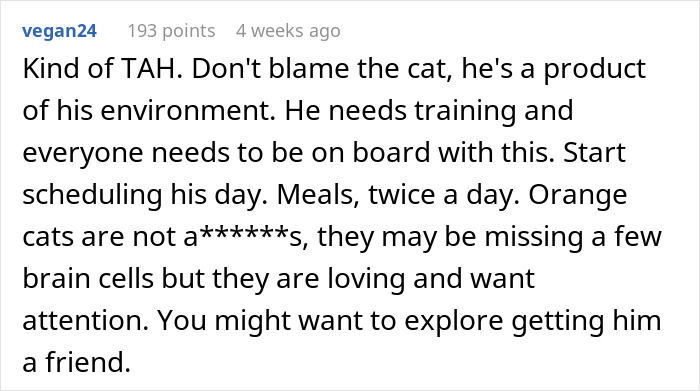 Man Loses Patience Over Wife’s “Frustratingly Annoying” Cat, Gives Her An Ultimatum Man Loses Patience Over Wife’s “Frustratingly Annoying” Cat, Gives Her An Ultimatum