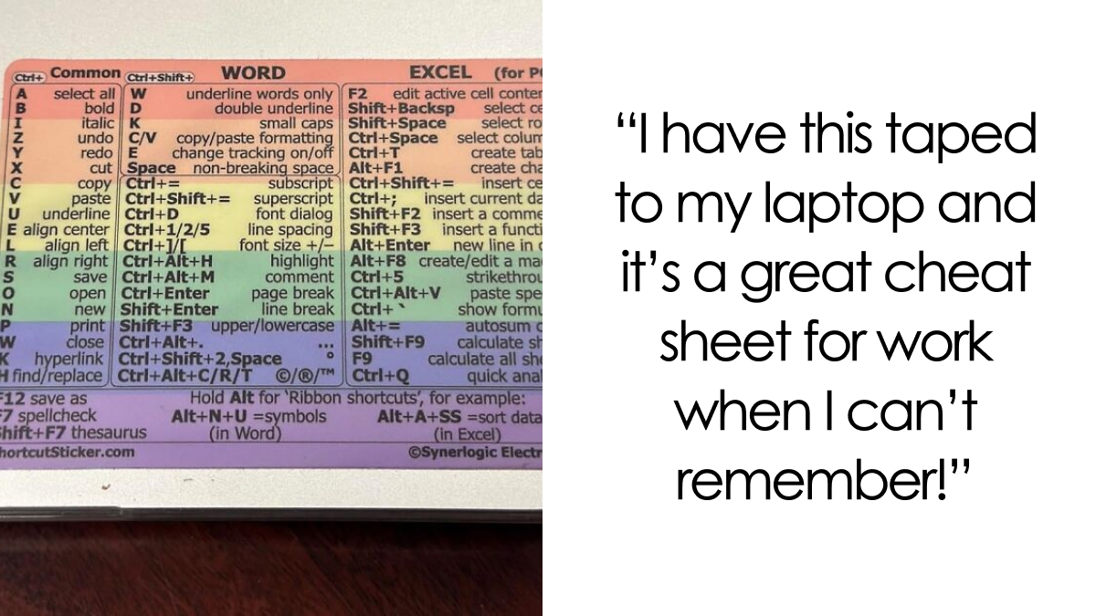 Even Michael Scott Would Approve Of These 24 Fun Office Finds