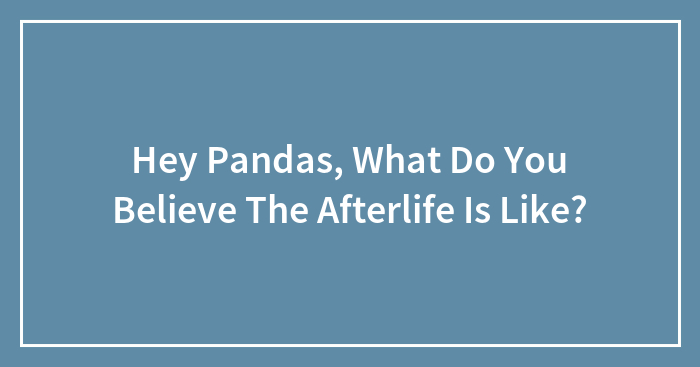 Hey Pandas, What Do You Believe The Afterlife Is Like? (Closed)