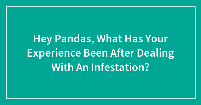 Hey Pandas, What Has Your Experience Been After Dealing With An Infestation? (Closed)
