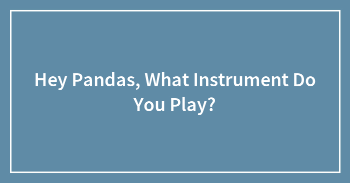 Hey Pandas, What Instrument Do You Play? (Closed)