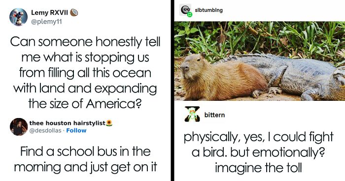 Screenshot of humorous science memes including ocean expansion, riding a school bus, and emotional toll of fighting a bird in the darker side of science memes.