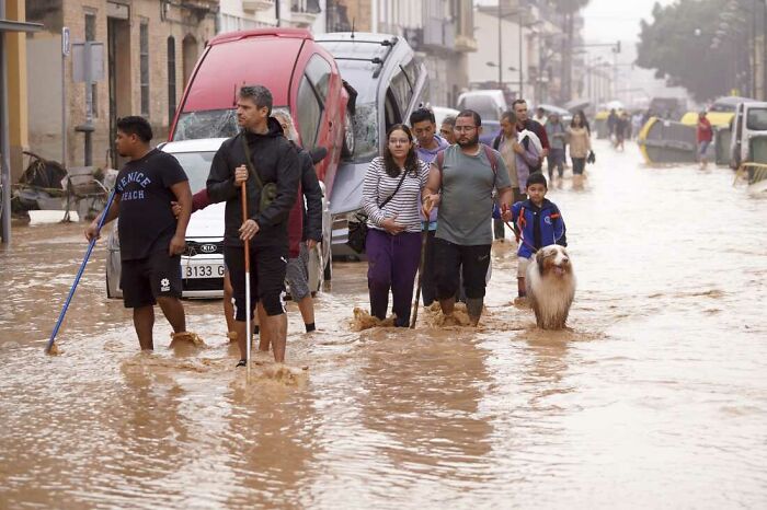 Brave Woman Holds On To Her Dog In Neck-Deep Floodwater As They Wait For Rescue Helicopter Brave Woman Holds On To Her Dog In Neck-Deep Floodwater As They Wait For Rescue Helicopter