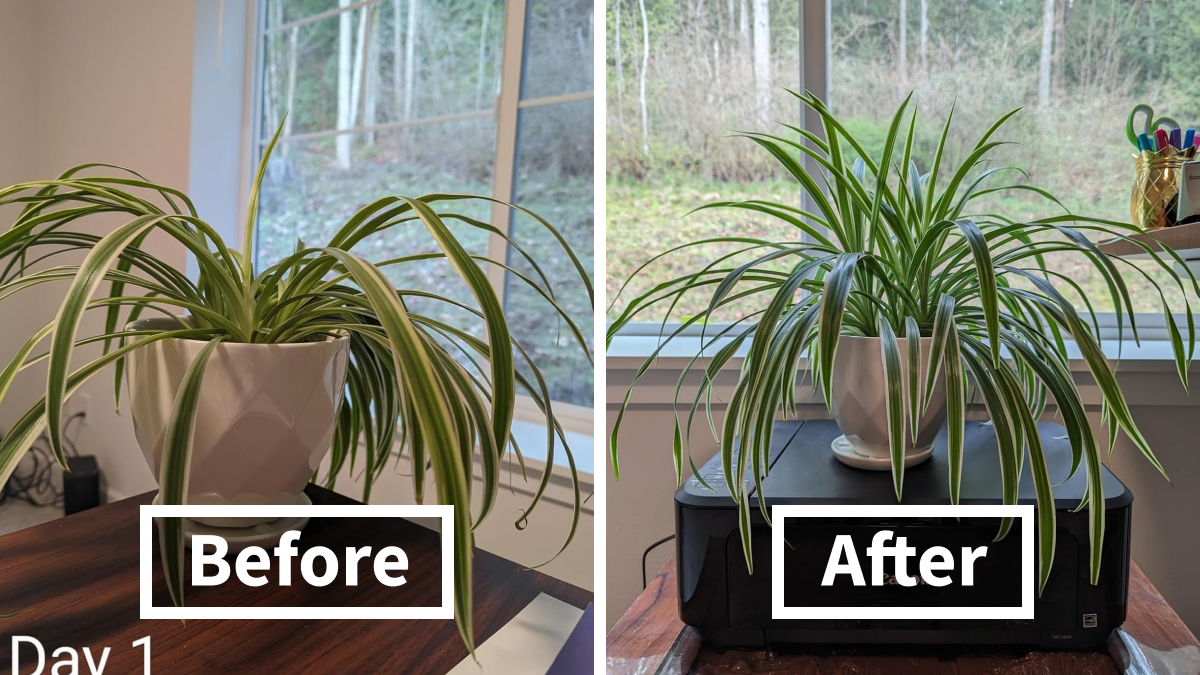 We’ve Found 22 Game-Changers That’ll Make Your Hectic Life Way Easier