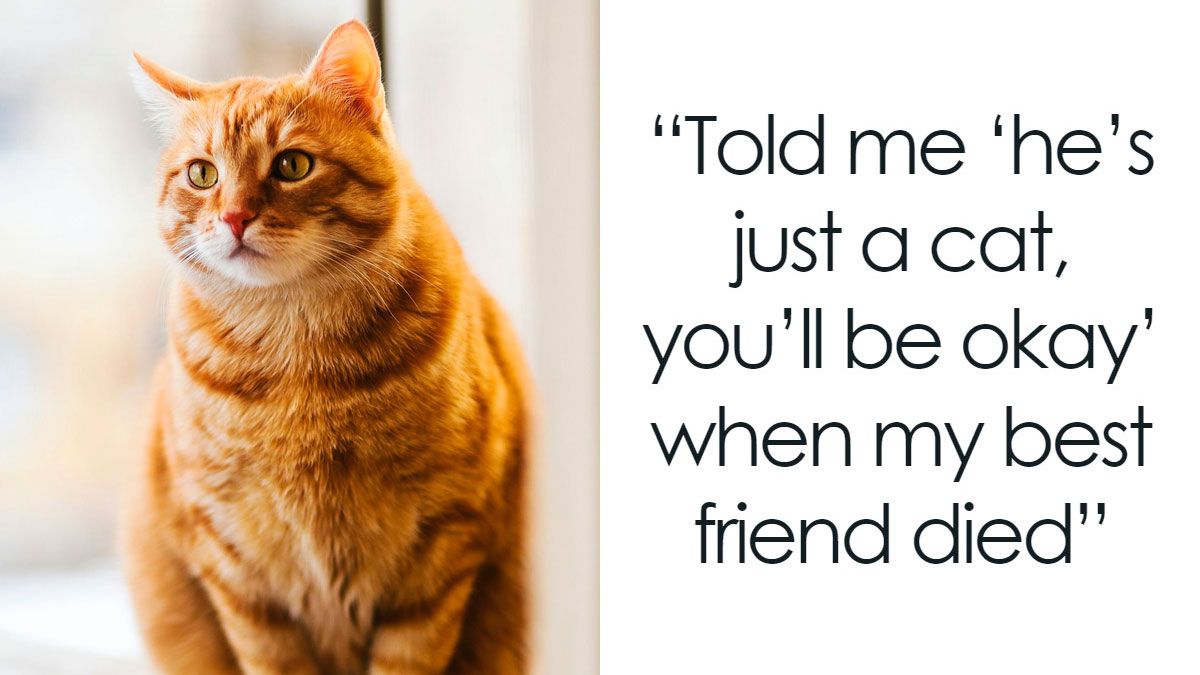 “Apparently He’s Into Men Now”: 30 People Who Regret Not Leaving Their SO Sooner