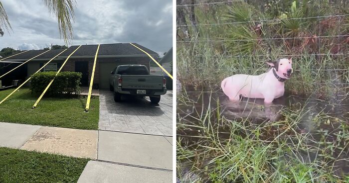 Experts Reveal What You Should And Shouldn’t Do In A Hurricane After A Lot Of Bad Ideas Go Viral