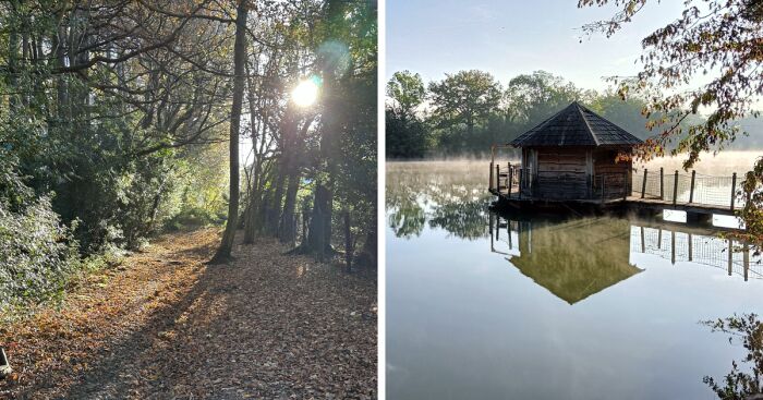 Hey Pandas, Share Your Coziest Fall Pics (Closed)