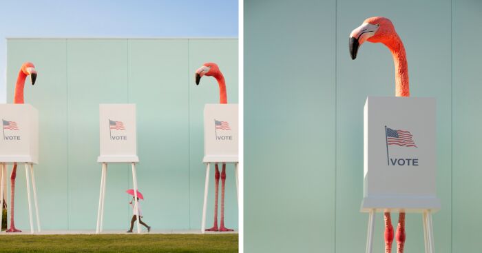 Flamingo Fever: Inspiring Votes With A Pop Of Pink (17 Pics)