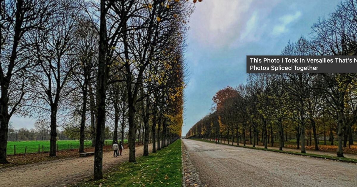 The Quiz For Experts Only 8 Will Get More Than 40/45